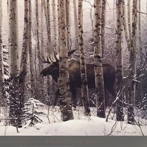 Meet your Posher, Marie